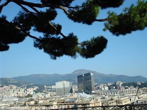 panorama