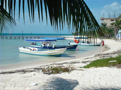 Playa tiburon