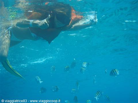 Tormentos Reef