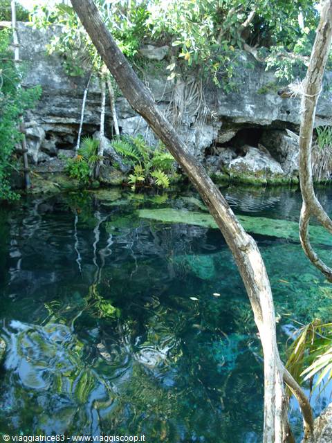 cenote cristalino..