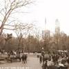 Central Park NY STATI UNITI D'AMERICA 