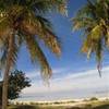 foto viaggio BAHAMAS