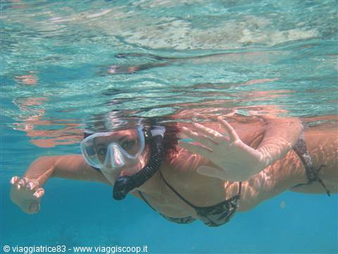 quasi 2 ore di snorkeling indimenticabile..