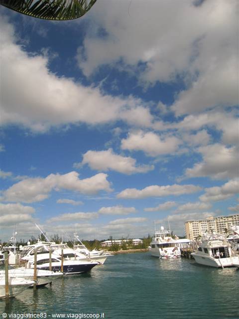 Port Lucaya