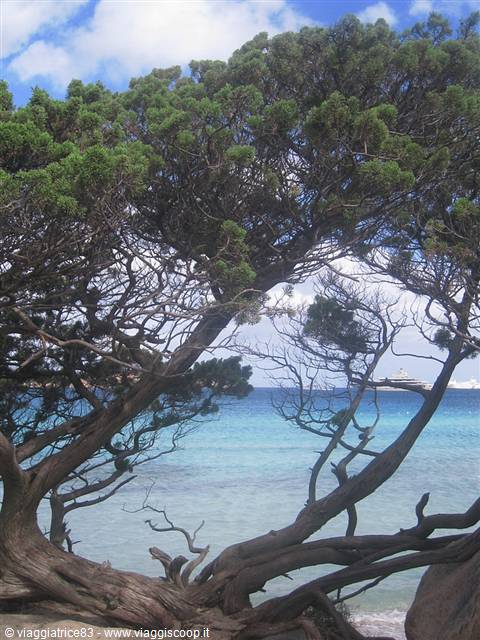 Spiaggia Piccolo Pevero