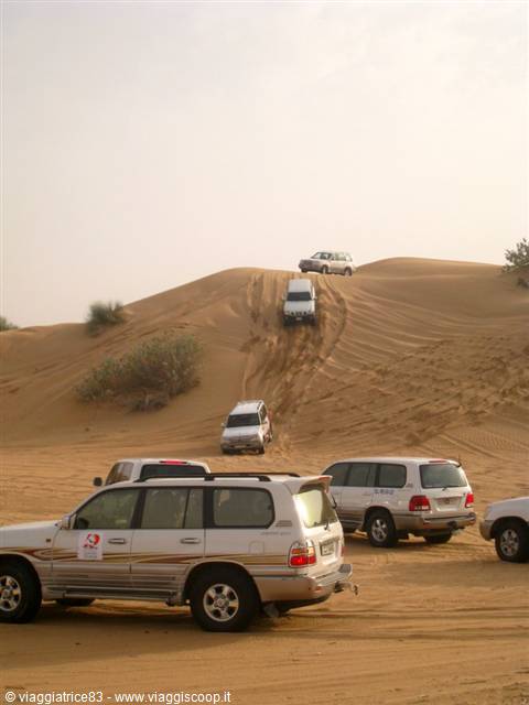 Safari Tour DESERT ADVENTURES TOURISM DUBAI