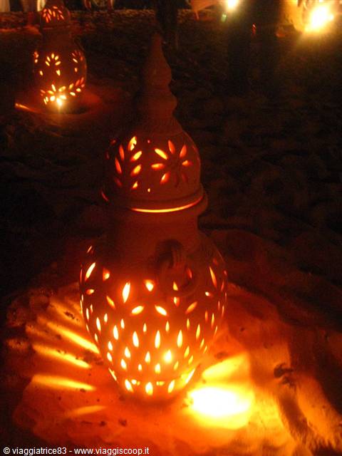 Safari Tour DESERT ADVENTURES TOURISM DUBAI
