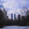 sullo sfondo le alte torri del Time Warner Center  STATI UNITI D'AMERICA 