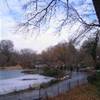 Central Park STATI UNITI D'AMERICA 