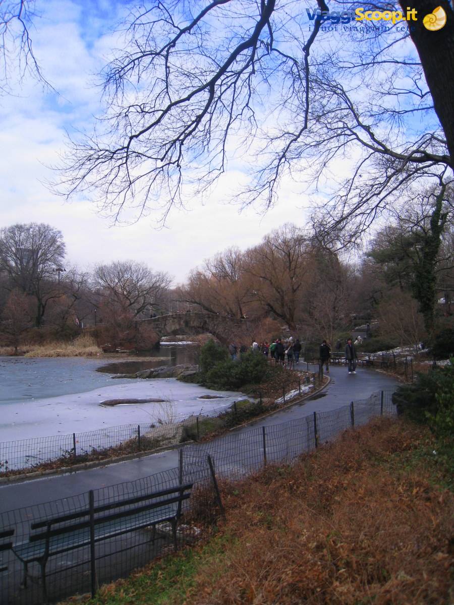 Central Park