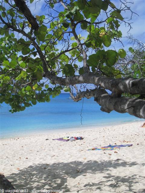 Cemetery Beach Grand Cayman