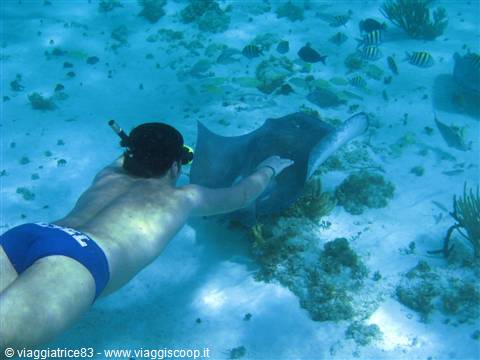 Barrier Reef