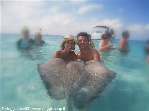 Stingray City