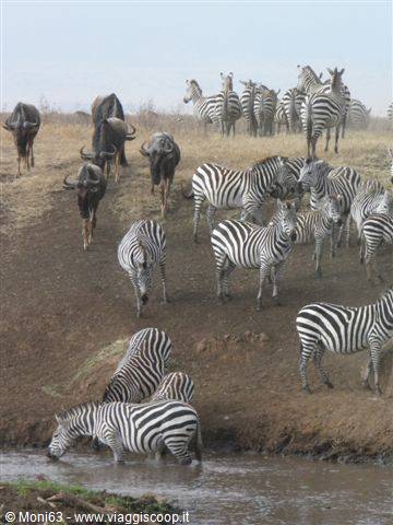 Riserva di Ngorongoro