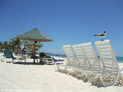 La spiaggia