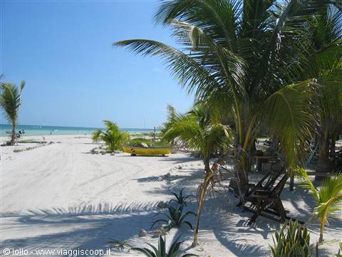 isla holbox
