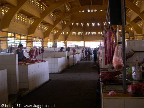 16 - PP - Mercato Centrale - macelleria