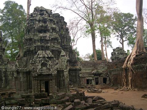 19 - Angkor - Ta Phrom 2