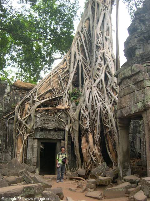 19 - Angkor - Ta Phrom - Porta