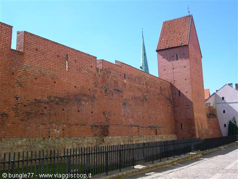 Mura