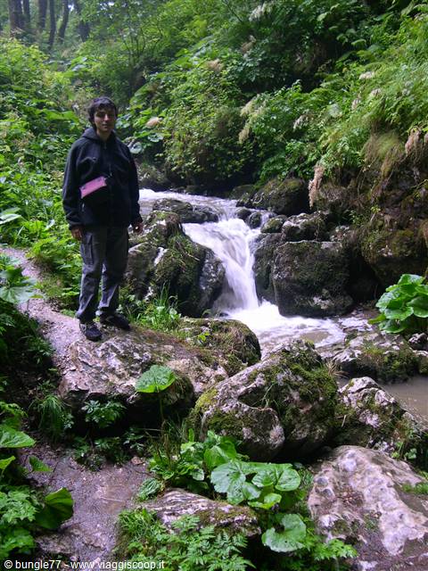 PredJama