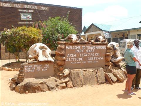 Safari Tsavo East