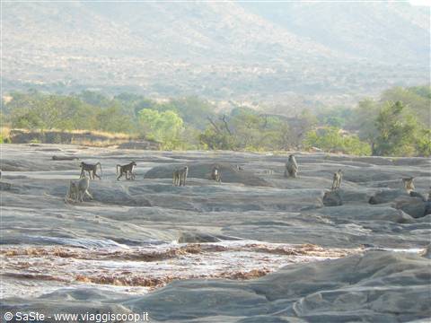 cascate