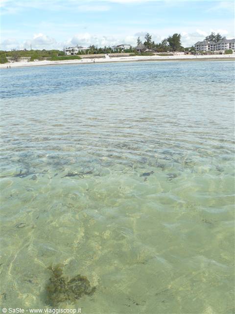 watamu