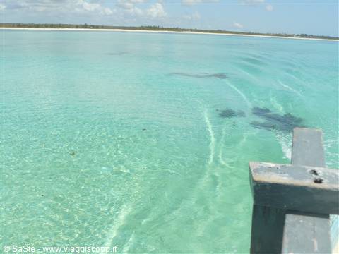 malindi verso le piscine naturali