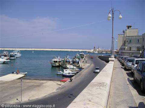 il porto