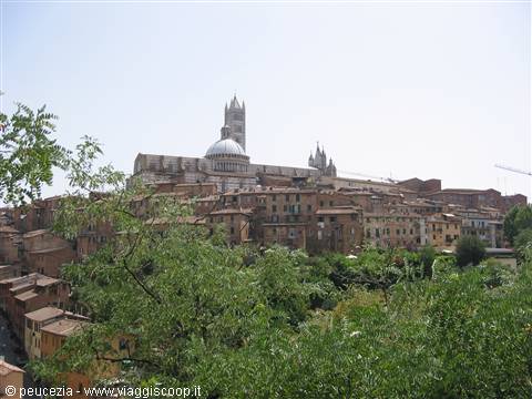 SIENA PANORAMA
