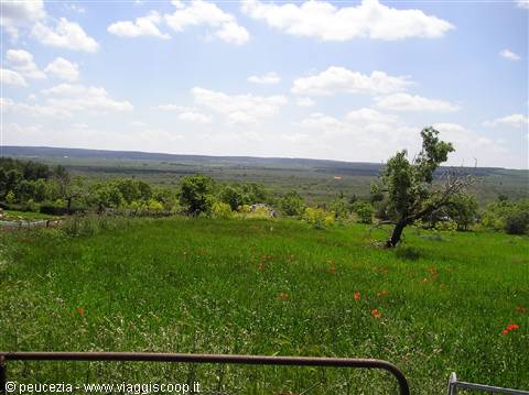 panorama dall'oasi