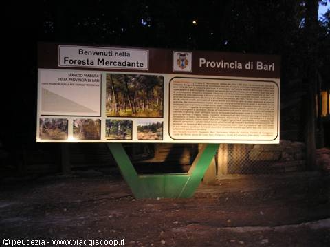 foresta di Mercadante:ingresso