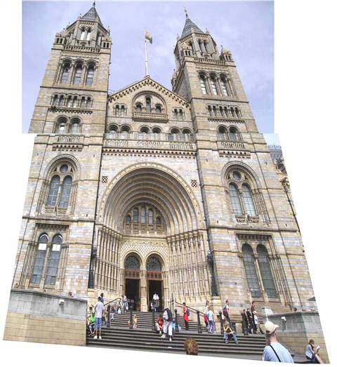 Natural History Museum: collage dell'ingresso principale
