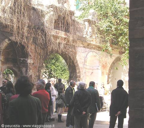 archi e rampicanti , un giardino in città