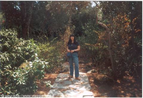Ischia:giardino botanico