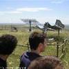 la centrale fotovoltaica di Mnafredonia ITALIA 