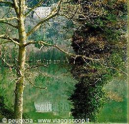 boschetto vicino al lago