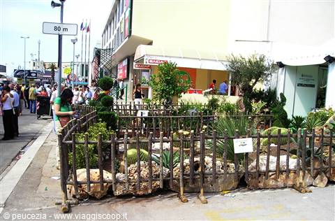 un piccolo giardino pubblicitario