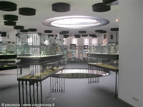 Il museo provinciale Castromediano di Lecce