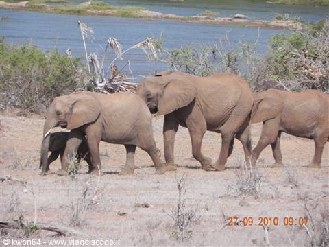Safari Tsavo Est