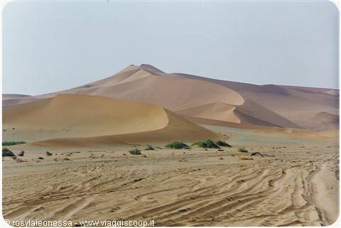 ...dune...