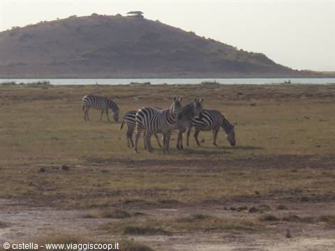 amboseli