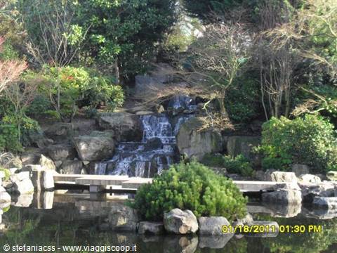 Kyoto gardnes