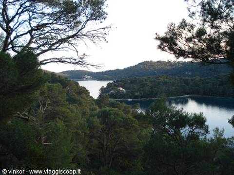 isola di Mljet: veduta dei due laghi dalla strada  