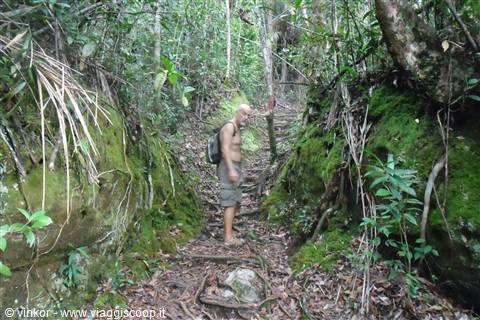 trekking nel parko Bako nei pressi di Kuching, Sarawak,Borneo malese