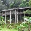 foto viaggio MALESIA