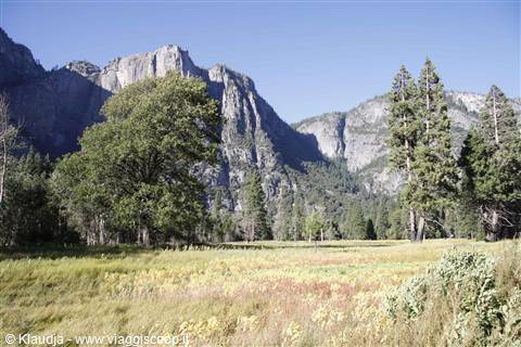valley, yosemite park