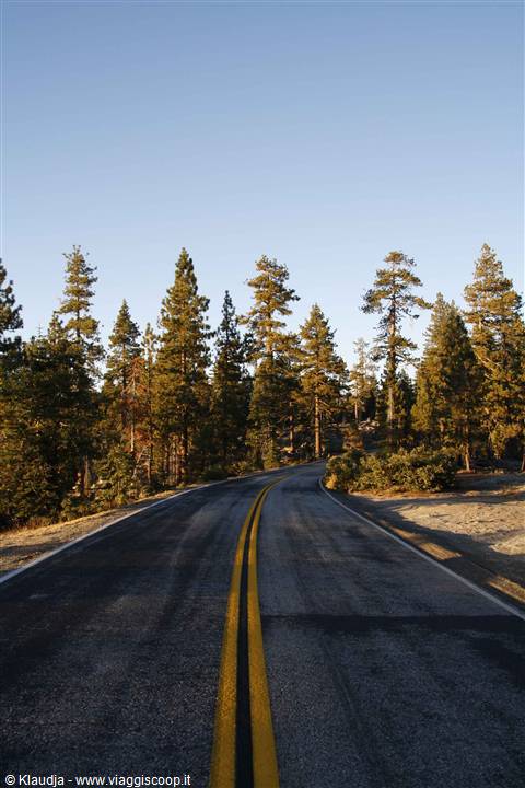 Tioga road