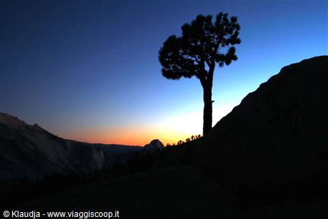 Tioga Pass